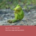 Frog ornament creative flower pot micro landscape toad