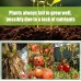 MoonSpry Plant Catalyst Stick, Plant Fruit And Vegetable Pot Flower Bud Flower Hair Root Growth Fertilizer Stick
