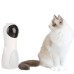 Cat Laser Toy Automatic Timing Laser Cat Toy Dual Power Supply LED Laser Wand Pet Laser Toy Cat Laser Toy Automatic Timing Laser Cat Toy Dual Power Supply LED Laser Wand Pet Laser Toy