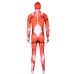 Halloween Giant Titan 5 Cosplay Costume Anime Character Role Play Stage Performance Outfit Attack on Titan