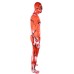 Halloween Giant Titan 5 Cosplay Costume Anime Character Role Play Stage Performance Outfit Attack on Titan