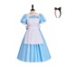 Anime adult Alice's Adventures in Wonderland cosplay costume maid costume Halloween cosplay costume