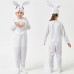 Children's Day Bunny Cosplay Pink Rabbit Animal Onesie with Lace Long Sleeve Cartoon Costume Performance Outfit