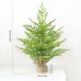 Santa Yuan New Pure PE 60CM Desktop Christmas Tree Decoration for Hotel, Commercial Supermarket Window Display, Factory Direct Supply