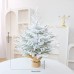 Santa Yuan New Pure PE 60CM Desktop Christmas Tree Decoration for Hotel, Commercial Supermarket Window Display, Factory Direct Supply
