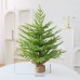 Santa Yuan New Pure PE 60CM Desktop Christmas Tree Decoration for Hotel, Commercial Supermarket Window Display, Factory Direct Supply