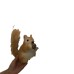Christmas Decorative Artificial Squirrel Creative Plush Toy Figurine Decoration