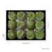 Santa Yuan New Velvet Beaded Christmas Ball Ornaments 8CM/12PCS Christmas Decorations Window Hanging Decor