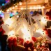 Non woven deer Christmas light LED string Non woven deer Christmas light LED string