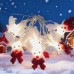 Non woven deer Christmas light LED string Non woven deer Christmas light LED string
