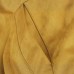 Collar long sleeved zipper solid color jacket for women