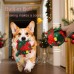 Christmas style dog toy ball outdoor sports ball self fun grinding plush ball small and medium-sized dog training pet toy