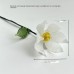 Glass Birth Flower Iron Wire Flower Iron Wire Flower Simulation Desktop Ornament Vase