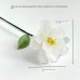 Glass Birth Flower Iron Wire Flower Iron Wire Flower Simulation Desktop Ornament Vase