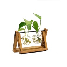 Plant Transparent Wooden Frame Vase Desktop Ornament Container