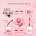 Eternal Flower Gift Box with Rose and Bear, Double-Door Design, Elegant Jewelry Packaging Box for Valentine's Day