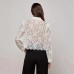 Lace collar long sleeved top