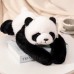 Koala Raccoon Doll Plush Toy