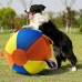 Indestructible Chew Ball for Dogs, Portable Floating Fetch Toy, Aggressive Chew Puppy Toy for Water & Outdoor Play