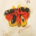Butterfly Blurred Printed Short Sleeve
