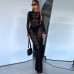 Sexy Sheer Long Sleeve Lace Dress Bodycon Silhouette, Women's Clothing