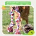 Large Dog Pet Toy Durable Chew Cotton Rope Five-Knot Dog Pet Supplies for Dogs and Cats