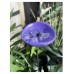 NewBee Water Dispenser, Drinking Station, Butterfly Blender, Hummingbird Water Bottle