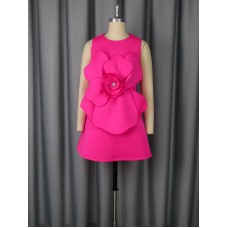 Round neck sleeveless dress Round neck sleeveless dress