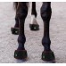 LED Therapy Lamp Red Light Infrared Large Pet Hoof Therapy Intensive Exercise Recovery Wound Healing Massager