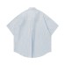 Embroidered vertical striped short sleeved shirt