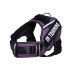 Neck Support Dog Harness with Reflective Pet Chest Harness and Leash, Direct Factory Supply Dog Lead and Pet Leash