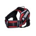 Neck Support Dog Harness with Reflective Pet Chest Harness and Leash, Direct Factory Supply Dog Lead and Pet Leash