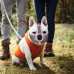 Bulldog Muzzle Pet Dog Muzzle Anti-Bite Anti-Random Eating Mask