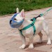 Bulldog Muzzle Pet Dog Muzzle Anti-Bite Anti-Random Eating Mask