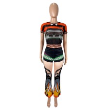 Sheer Mesh Round Neck Pullover Elastic High Waist Flared Set