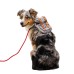 Dog backpack Pet small schoolbag with straps Portable