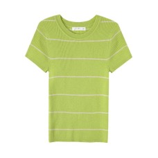 Green Stripe Regular Sleeve Fitted Wool Knit