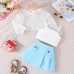 Mesh pullover with pleated skirt set