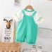 Dinosaur overalls set
