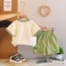 Dinosaur round neck top set