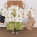 Dinosaur shirt short sleeved set