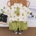 Dinosaur shirt short sleeved set