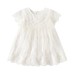 Mesh round neck short sleeved dress