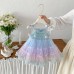 Cute Gradient Sleeveless Princess Dress for Baby GirlsBreathable Mesh Dress, Casual Summer Outfit