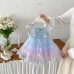 Cute Gradient Sleeveless Princess Dress for Baby GirlsBreathable Mesh Dress, Casual Summer Outfit