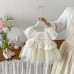 Cute Princess Style Puff Sleeve Dress for Babies, Lightweight Embroidered Tulle Dress, Summer New Arrival