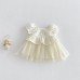 Cute Princess Style Puff Sleeve Dress for Babies, Lightweight Embroidered Tulle Dress, Summer New Arrival