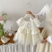 Cute Princess Style Puff Sleeve Dress for Babies, Lightweight Embroidered Tulle Dress, Summer New Arrival