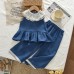 Cute Flower Trim Sleeveless Baby Shirt and Long Pants Two-Piece Set for Girls Summer Outfit Cute Flower Trim Sleeveless Baby Shirt and Long Pants Two-Piece Set for Girls Summer Outfit