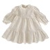 Girls' Dress Autumn New Style Baby Long Sleeve Sweet Embroidered Princess Dress Kids Fashionable Skirt Spring and Autumn